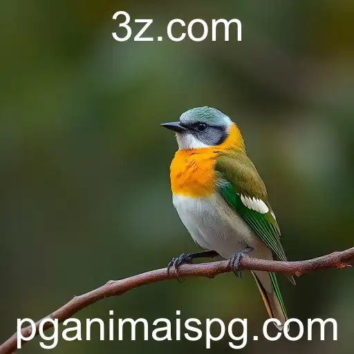 Biodiversidade Brasileira em Risco: Desafios e Esperanças